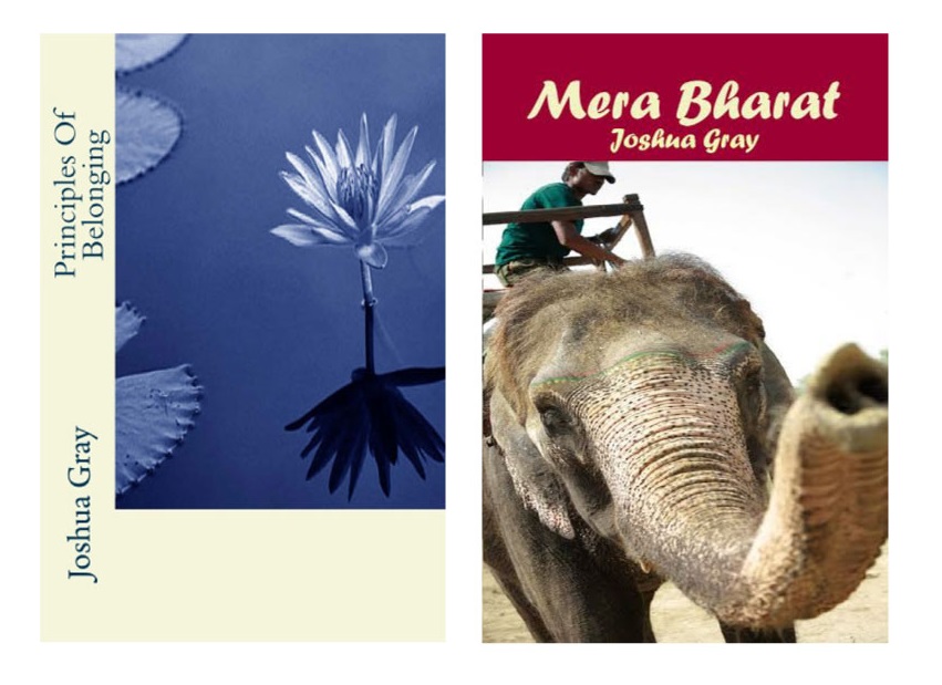 Principles Of Belonging and Mera Bharat books